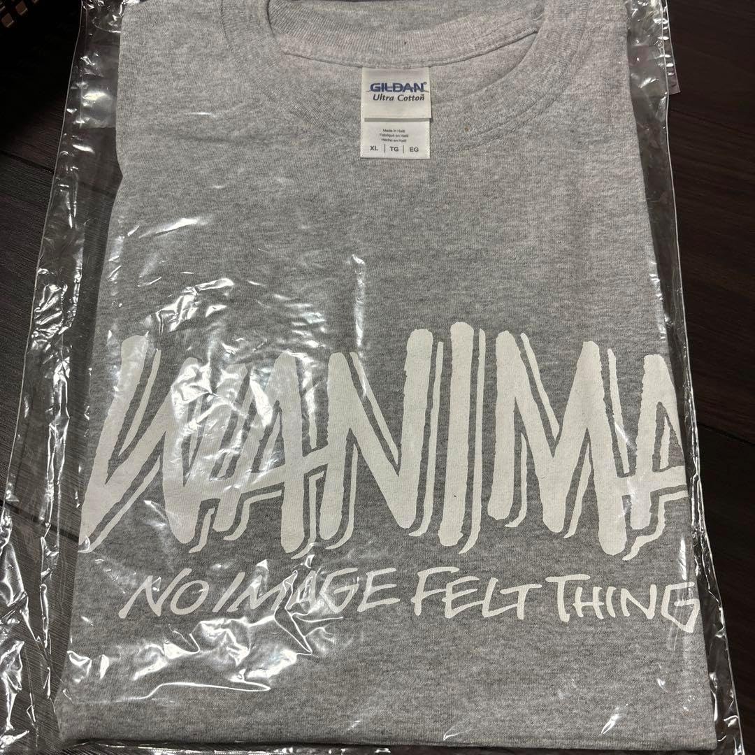 WANIMA 初期 Tシャツ XL WANIMA ツアー Tシャツ WHP TEE XLサイズ